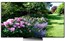 تلویزیون LED سونی 55 اینچ مدل   55X9300D